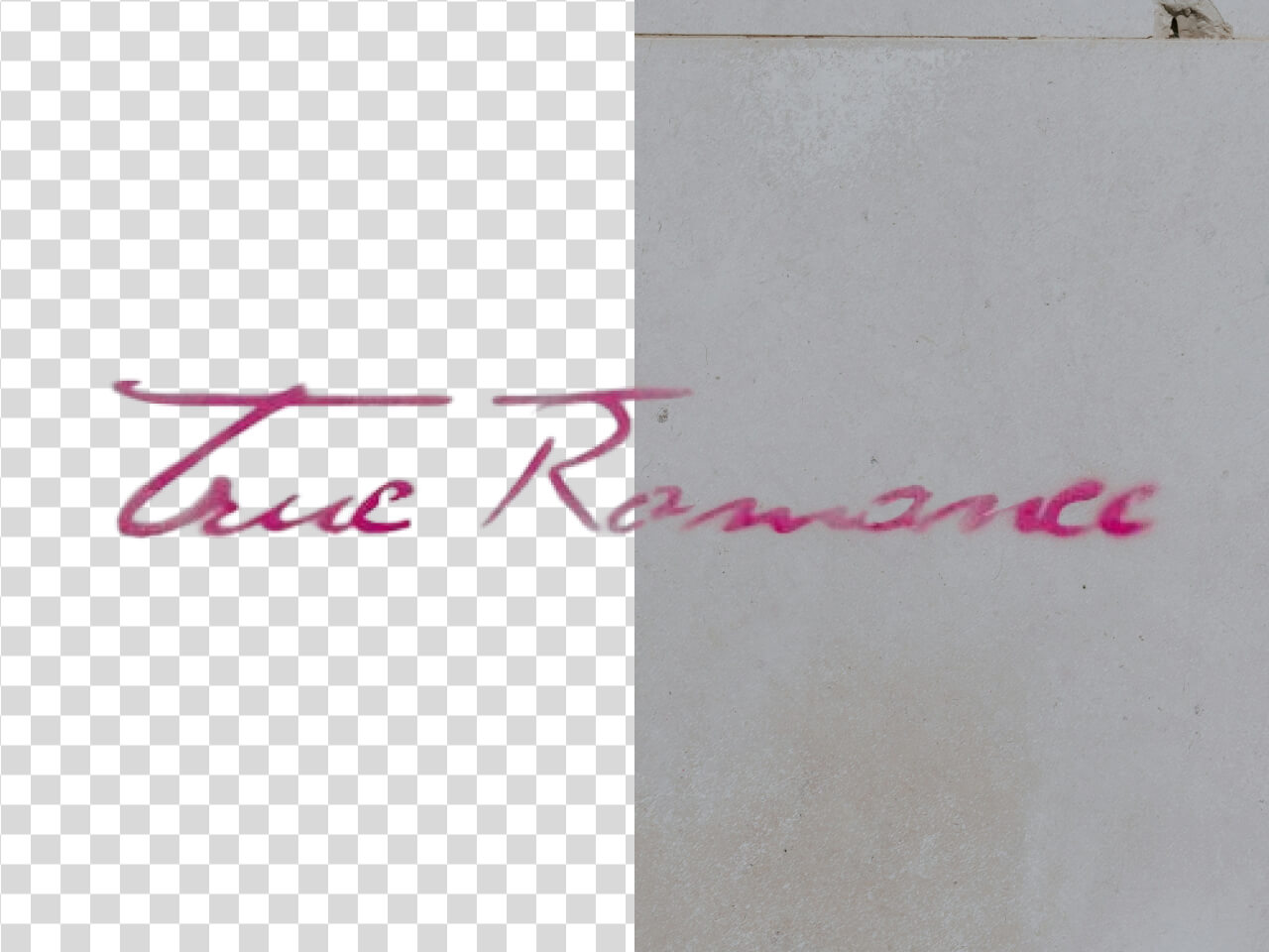 Clean Signatures for Professional E-commerce Use